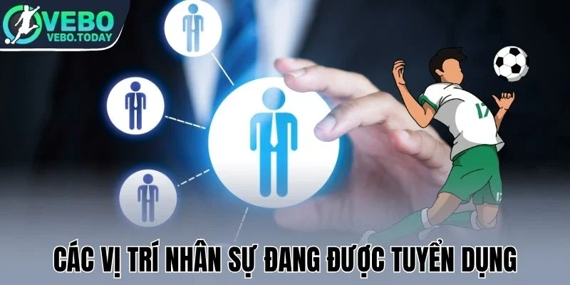 Các vị trí nhân sự đang được tuyển dụng