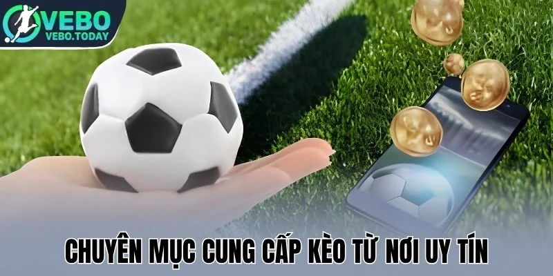 Chuyển đến nội dung chínhChuyển đến thanh công cụ
vebo.today
Flatsome
00 bình luận cần kiểm duyệt
Tạo mới
Xem trang
Rank Math SEO
Xin chào, seo
Tùy chọn màn hìnhHỗ trợ
Sửa trang Thêm Trang
Thông báo SEO: post đã xuất bản trước đó đã được chuyển vào thùng rác. Bạn có thể chuyển hướng https://vebo.today/soi-keo-brighton-vs-brentford/ đến một URL mới.Bỏ qua thông báo này
EditorUX Builder
Thêm tiêu đề
Tỷ Lệ Kèo
Bỏ qua để biên tập
Đường dẫn tĩnh: https://vebo.today/ty-le-keo/ ‎Chỉnh sửa
Thêm MediaTrực quanMã
Định dạng ĐoạnTOCShortcodes
11ptp » i » span
Số từ: 2093	  Chỉnh sửa lần cuối bởi seo ngày 25 Tháng 5, 2026 lúc 2:23 chiều
Di chuyển lênDi chuyển xuốngChuyển đổi bảng điều khiển: Xuất bản
Xem trước(mở trong cửa sổ mới)
Trạng thái: Đã xuất bản Chỉnh sửaChỉnh sửa trạng thái
Hiển thị: Công khai Chỉnh sửaChỉnh sửa độ rõ nét
Bản sửa đổi: 17 Xem lạiDuyệt các bản sửa đổi
Đã xuất bản lúc: Th10 7, 2025 lúc 01:21 Chỉnh sửaChỉnh sửa ngày tháng và thời gianLock Modified Date
SEO: 81 / 100
Bỏ vào thùng rác
Di chuyển lênDi chuyển xuốngChuyển đổi bảng điều khiển: Ảnh đại diện
Tỷ Lệ KèoNhấn vào ảnh để sửa hoặc cập nhậtXóa ảnh đại diệnDi chuyển lênDi chuyển xuốngChuyển đổi bảng điều khiển: Content AI
Di chuyển lênDi chuyển xuốngChuyển đổi bảng điều khiển: Thuộc tính trang
Di chuyển lênDi chuyển xuốngChuyển đổi bảng điều khiển: Page Layout
Di chuyển lênDi chuyển xuốngChuyển đổi bảng điều khiển: Đề xuất Liên kết
Di chuyển lênDi chuyển xuốngChuyển đổi bảng điều khiển: LiteSpeed
Di chuyển lênDi chuyển xuốngChuyển đổi bảng điều khiển: Rank Math SEO
Tổng quan
Nâng cao
Schema
Mạng xã hội
https://vebo.today/ty-le-keo/
Tỷ Lệ Kèo Bóng Đá – Theo Dõi Kèo Chuẩn Xác Nhất Tại RAKHOI
Tỷ Lệ Kèo Bóng Đá RAKHOI cập nhật liên tục các dạng kèo phổ biến như Handicap, Tài Xỉu, 1x2 giúp người xem theo dõi biến động và đánh giá trận đấu dễ dàng.
Chỉnh sửa đoạn tríchAnalytics
Từ khóa chínhChèn các từ khóa bạn muốn xếp hạng. Cố gắng đạt 100/100 điểm để có cơ hội xếp hạng tốt hơn.81 / 100
Lưu ý cảnh báo
Đọc ở đây để Đạt điểm 100/100Bài viết này là nội dung cốt lõiSEO cơ bản
Tất cả đều tốt
Tuyệt vời! Bạn đang sử dụng từ khoá chính trong Tiêu đề SEO.
Đã sử dụng từ khoá chính trong Mô tả Meta SEO.
Từ khóa chính đã được sử dụng trong URL.
Từ khoá chính xuất hiện trong 10% nội dung đầu tiên.
Đã tìm thấy từ khoá chính trong nội dung.
Nội dung dài 2164 từ. Làm tốt lắm!Bổ sung
3 LỗiKhả năng đọc tiêu đề
1 LỗiKhả năng đọc nội dung
Tất cả đều tốt
Di chuyển lênDi chuyển xuốngChuyển đổi bảng điều khiển: Bản sửa đổi
Di chuyển lênDi chuyển xuốngChuyển đổi bảng điều khiển: Disable WpDevArt Facebook comment on this page/postCảm ơn bạn đã sử dụng Rank MathPhiên bản 6.9.4
Thông báoĐọc ở đây để Đạt điểm 100/100
Đóng hộp thoại
Thêm tệp media
Hành động
Tải lên tệp mớiChọn từ thư viện Media
Mở rộng chi tiết
Lọc mediaLọc theo loại
Tất cả
Lọc theo ngày
Tất cả các ngày
Tìm tệp media
Danh sách media
Đang hiển thị 83 của 326 file mediaTải thêm
Chi tiết tệp đính kèmchuyen-muc-cung-cap-keo-tu-noi-uy-tin.webp
25 Tháng 5, 2026
57 KB
800 dài và rộng 400 pixel
Sửa ảnh
Xóa vĩnh viễn
Văn bản thay thế
Tạo văn bản thay thế
Xem cách mô tả nội dung ảnh(mở trong cửa sổ mới). Để trống nếu ảnh chỉ dùng làm hiệu ứng trang trí.Tiêu đề
chuyen-muc-cung-cap-keo-tu-noi-uy-tin
Chú thích
Mô tả
Liên kết của tệp tin:
https://vebo.today/wp-content/uploads/2026/05/chuyen-muc-cung-cap-keo-tu-noi-uy-tin.webp
Sao chép liên kết
Các trường bắt buộc được đánh dấu *Loại trừ tệp đính kèm này khỏi sơ đồ trang web
Tùy chọn hiển thị nội dung đính kèm
Căn chỉnh
Chính giữa
Liên kết tới
Không có
Kích thước
Kích thước đầy đủ – 800 × 400
Hành động cho các media đã được chọn
đã chọn 1 item
Xóa
Chèn vào trang
Không có tệp nào được chọn