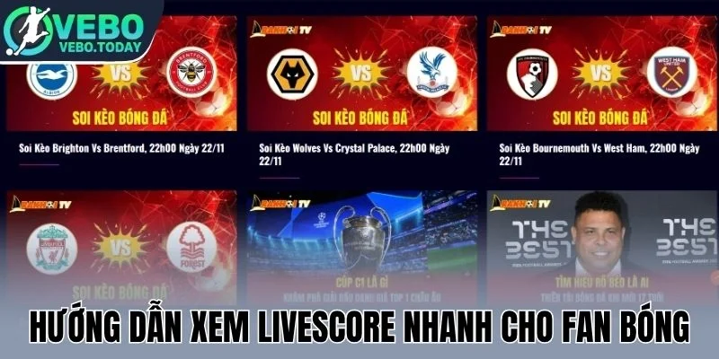 Hướng dẫn xem livescore nhanh cho fan bóng
