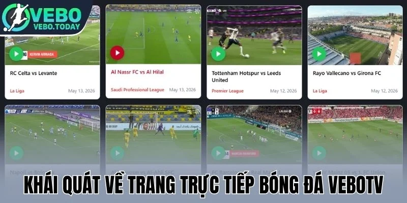 Khái quát về trang trực tiếp bóng đá Vebotv
