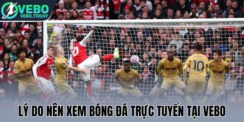 Lý do nên xem bóng đá trực tuyến tại Vebo