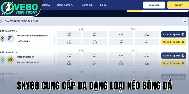 Sky88 cung cấp đa dạng loại kèo bóng đá