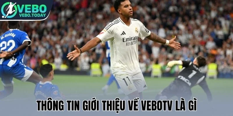 Thông tin giới thiệu về Vebotv là gì