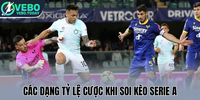 Các dạng tỷ lệ cược khi soi kèo Serie A