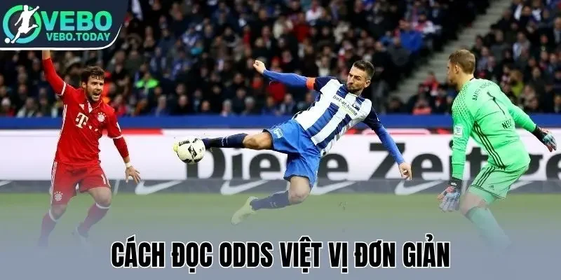 Cách đọc odds việt vị đơn giản