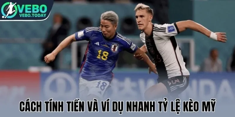 Cách tính tiền và ví dụ nhanh tỷ lệ kèo Mỹ