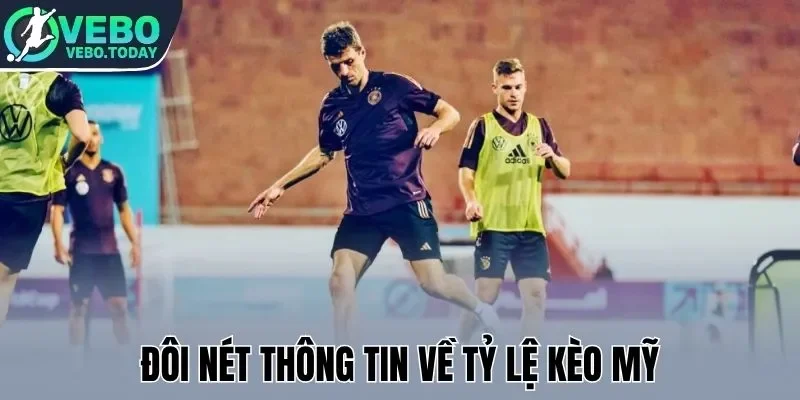 Đôi nét thông tin về tỷ lệ kèo Mỹ