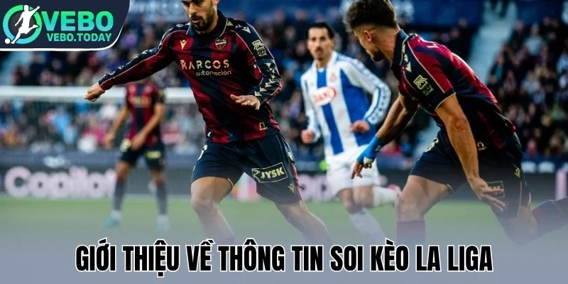 Soi Kèo La Liga - Mẹo Chọn Kèo Hot Cho Trận Bóng Tây Ban Nha 1 Giới thiệu về thông tin soi kèo La Liga