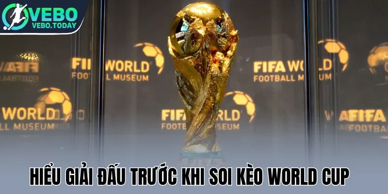 Hiểu giải đấu trước khi soi kèo World Cup  