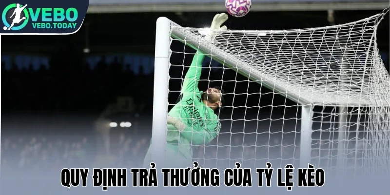 Quy định trả thưởng của tỷ lệ kèo 