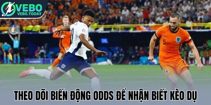 Theo dõi biến động odds để nhận biết kèo dụ