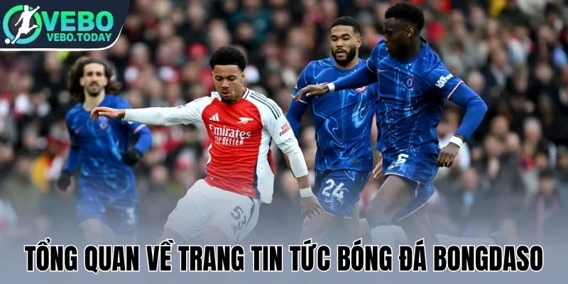 Tổng quan về trang tin tức bóng đá Bongdaso